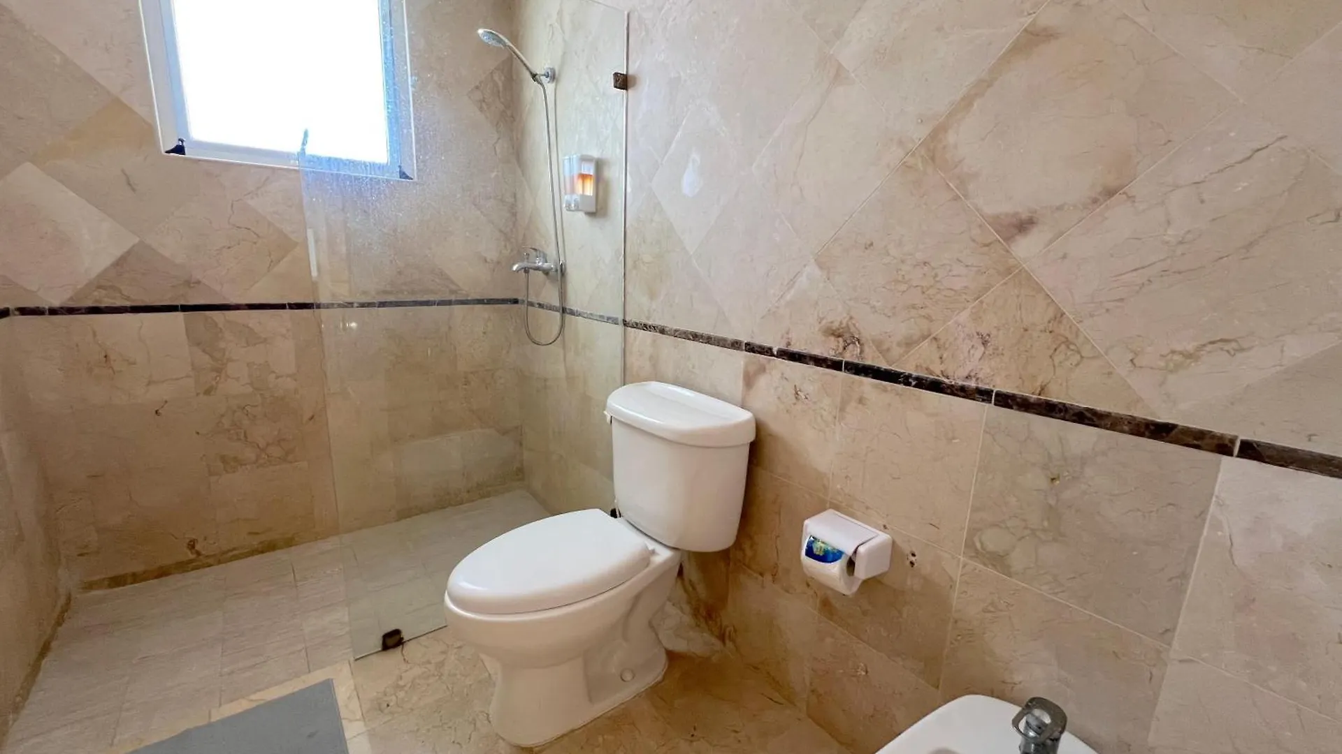 Dream Island Villas & Apartments Ocean View Pool Playa Los Corales 蓬塔卡纳 多米尼加共和国